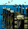 Animated birds flying around a fishing pier