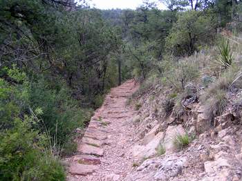 Section of the Lost Mine Trail