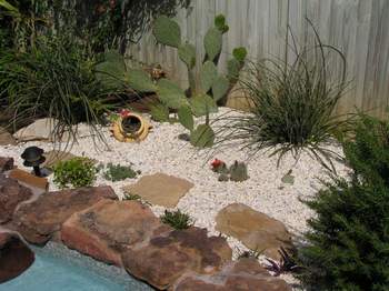 Cactus bed