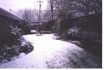 The garden in winter