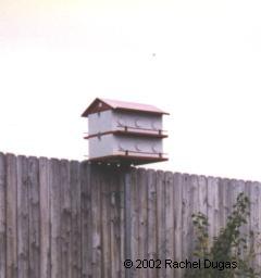 Aluminum Martin house