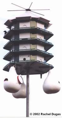 Trio Purple Martin House